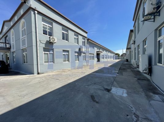 嘉定区丰功路厂房出租